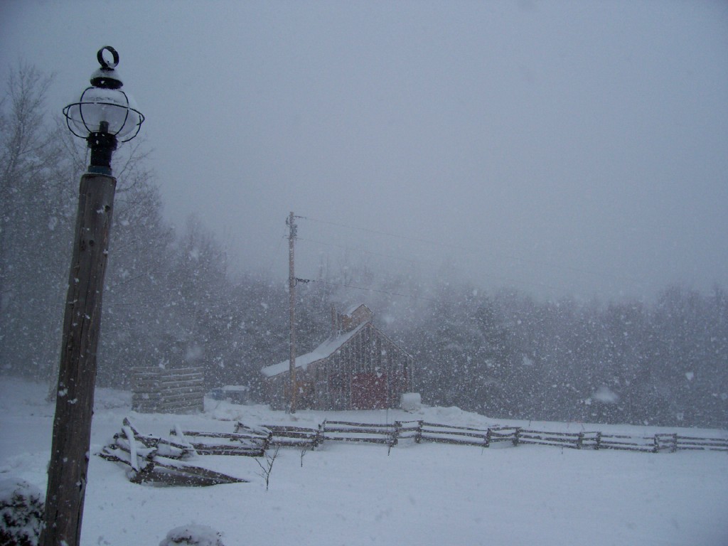 Snowy day at Sap house